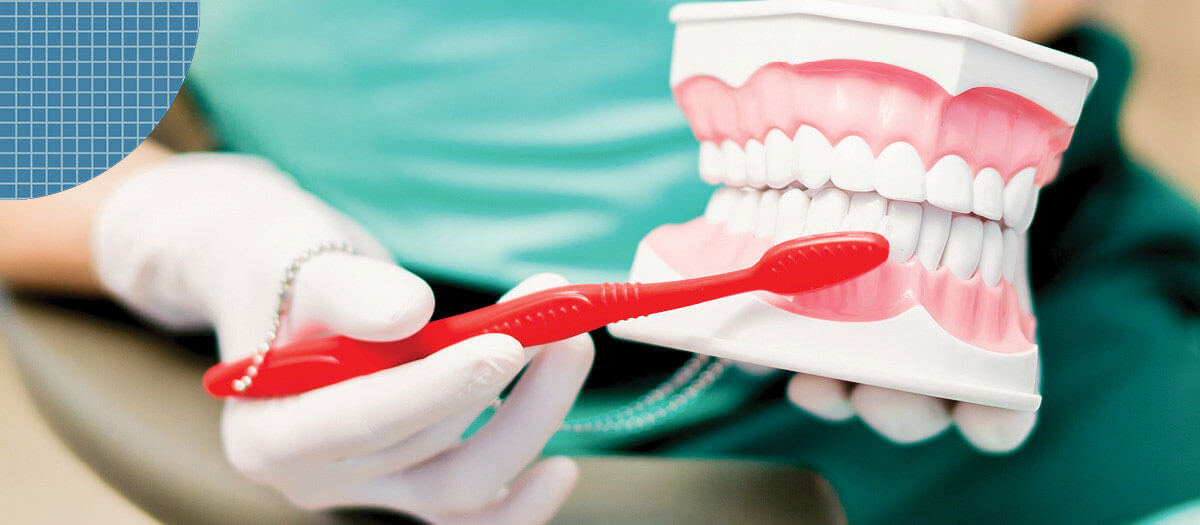 Dental assistant brushing false teeth