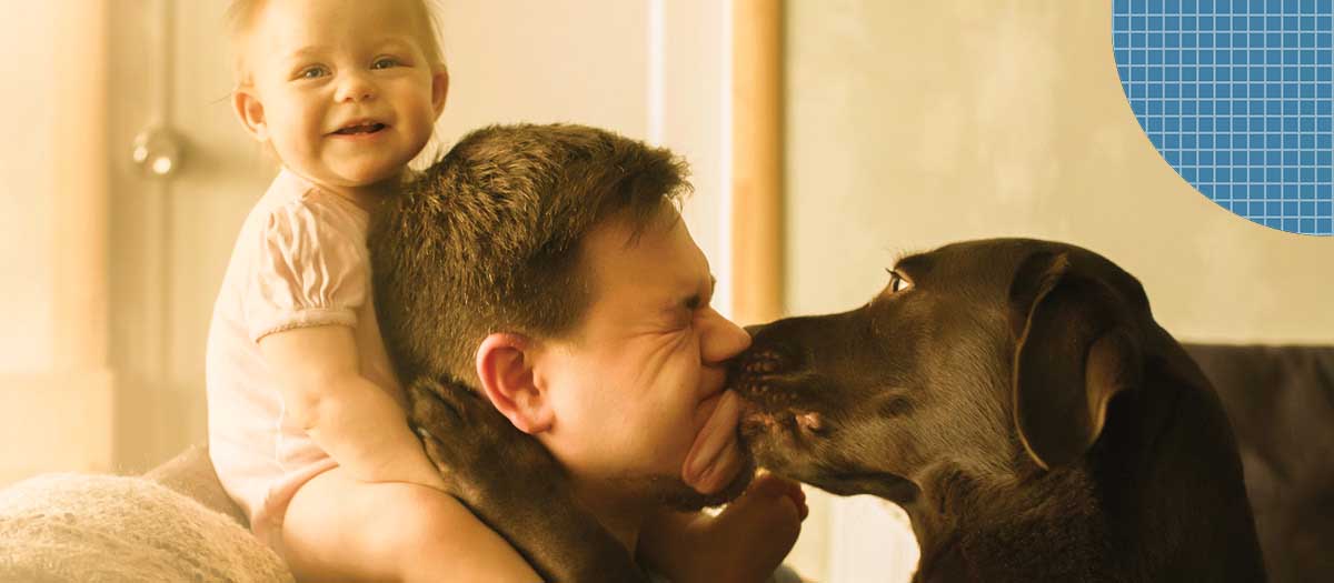 Man getting a kiss from his dog