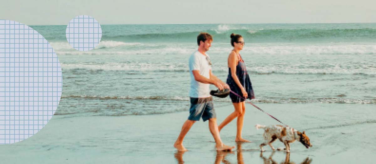 Man and woman walking dog on beach