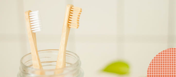 Toothbrushes in cup