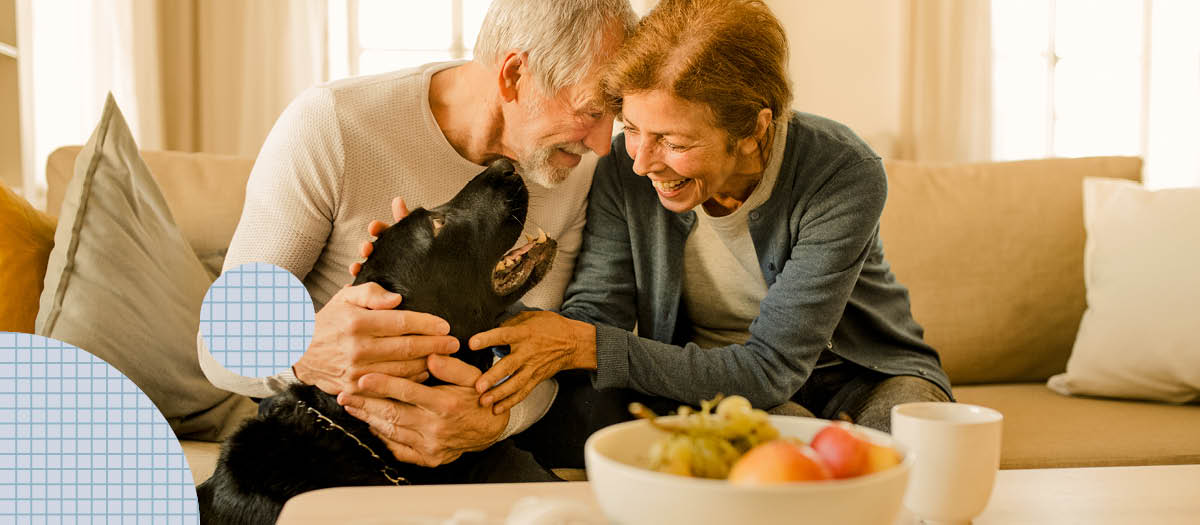 Couple petting dog with fruit bowl on coffee table